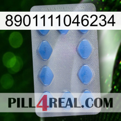 8901111046234 21
